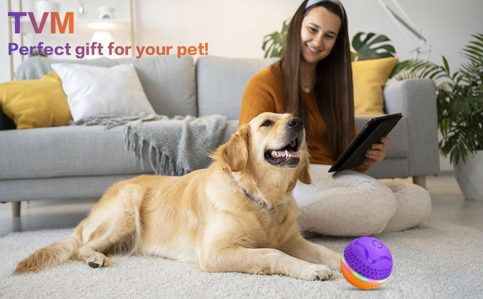 Interactive Pet Toys Ball
