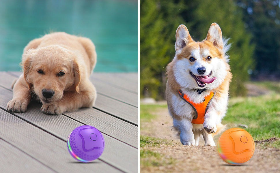 Interactive Pet Toys Ball