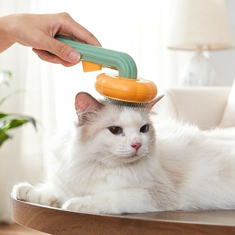 Cute Pumpkin Pet Grooming Comb
