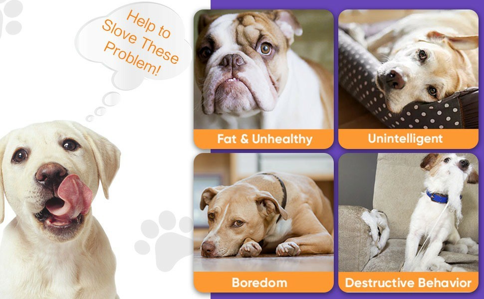 Interactive Pet Toys Ball