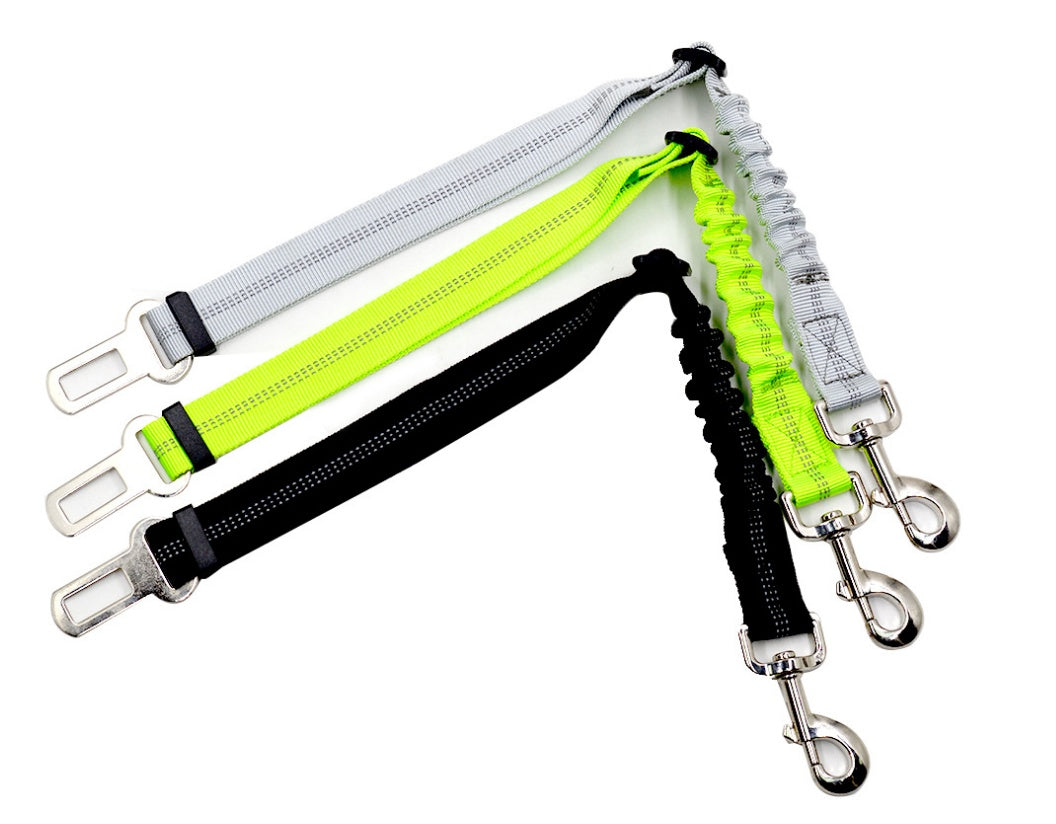 Seatbelt Secured Car Leash