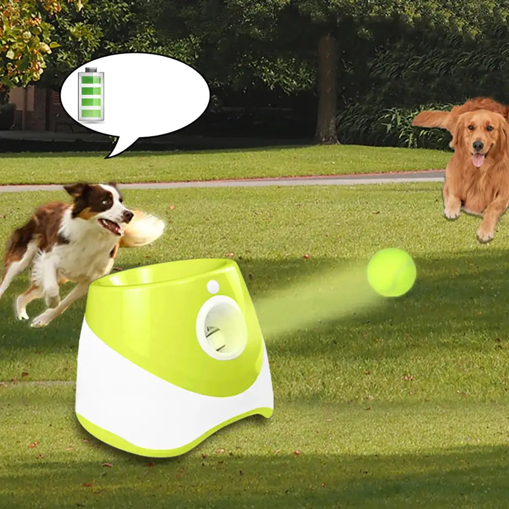 Automatic Tennis Ball Launcher For pet