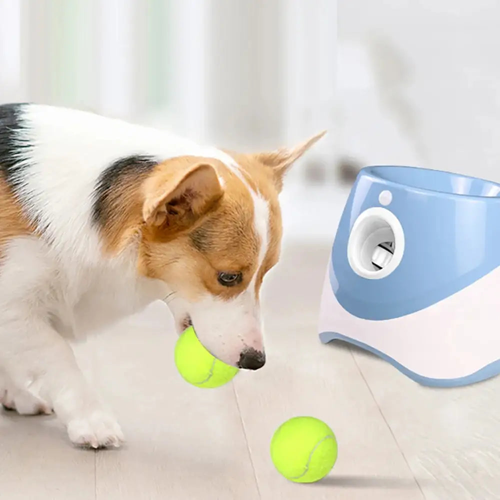 Automatic Tennis Ball Launcher For pet