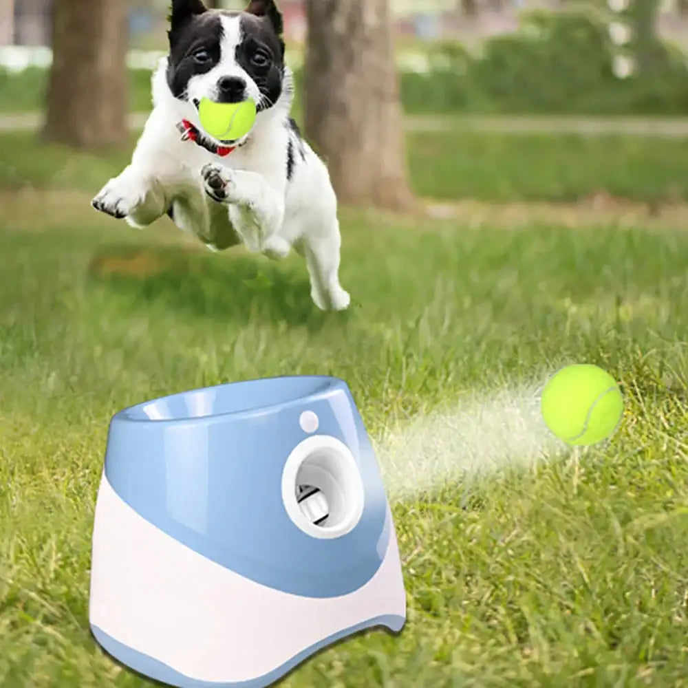 Automatic Tennis Ball Launcher For pet