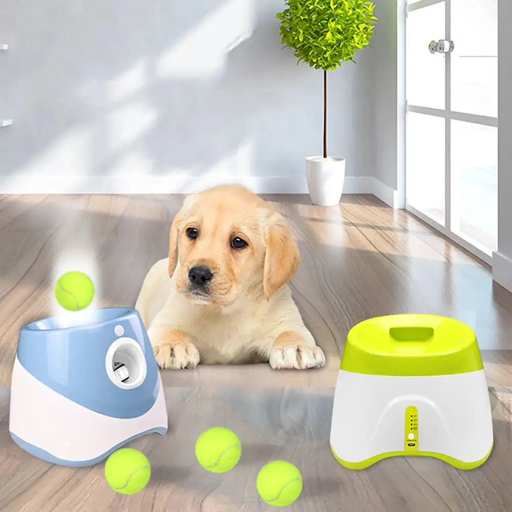 Automatic Tennis Ball Launcher For pet