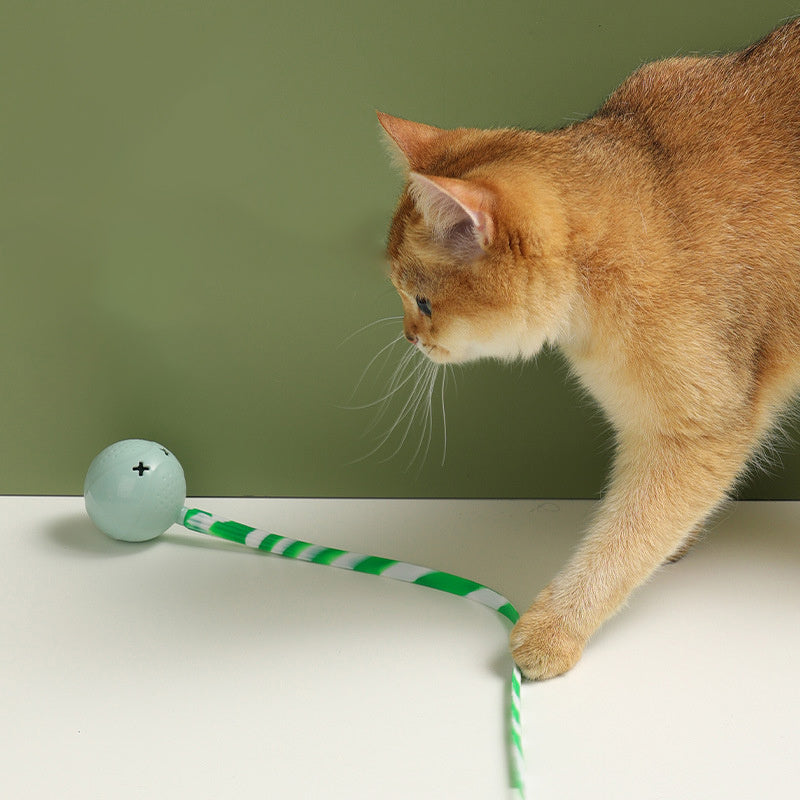 Cat Interactive Electric Balls Toy