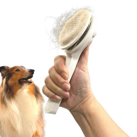 Pet Grooming Brush